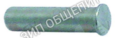 Штифт шарнирный 049281 Electrolux для 400000 / 400001 / 400002 / 400003 / 400004 / 400005 / 400006