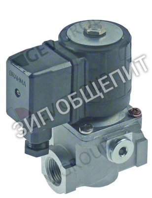 Клапан электромагнитный BRAHMA, 230В, DN 15мм, присоединение 1/2" для 1A1PI2G / 1A1PI2GA / 1D1PI2G / 1D1PI2GA / 291PI3G